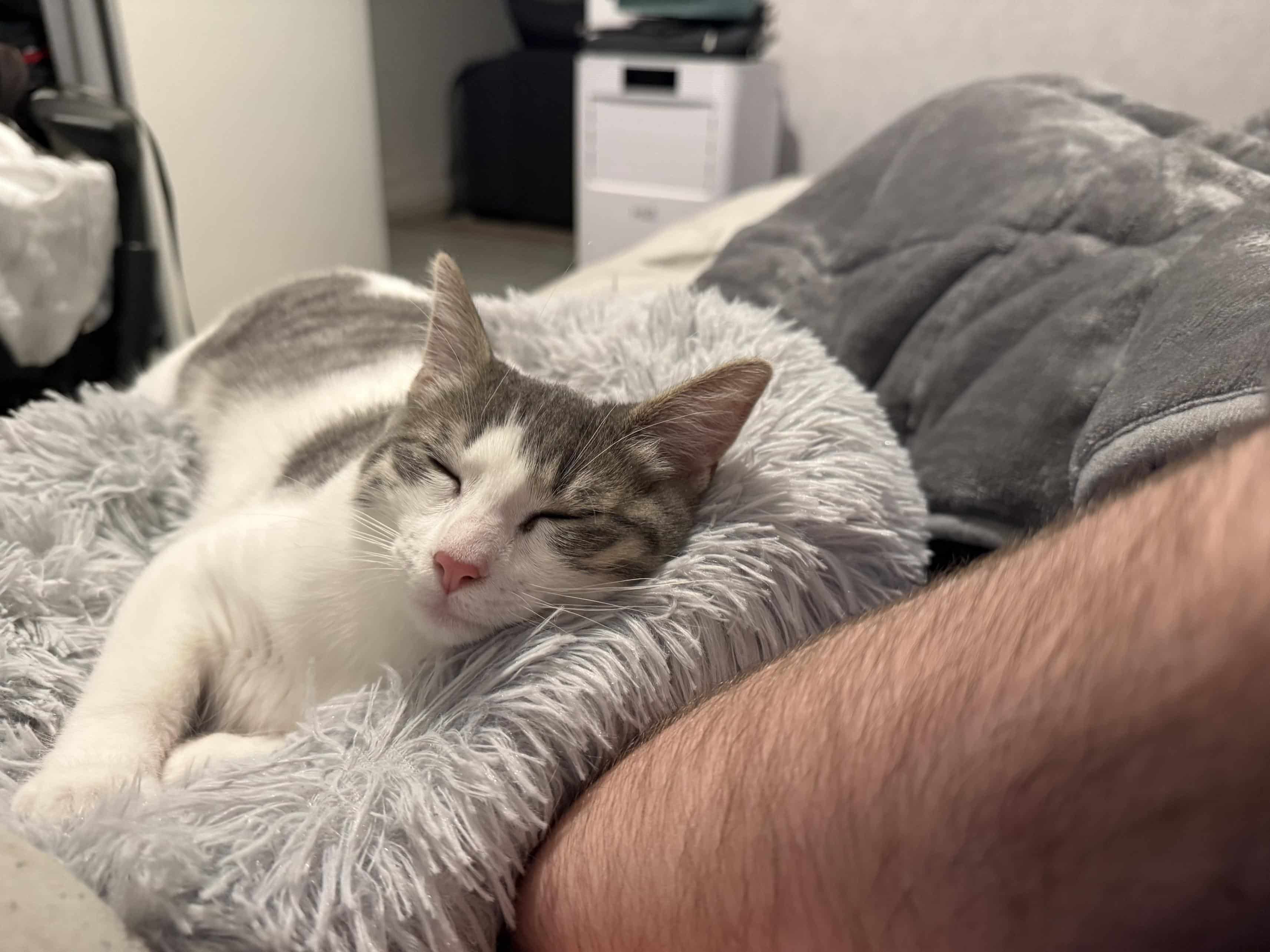 Aura - Moments Magiques