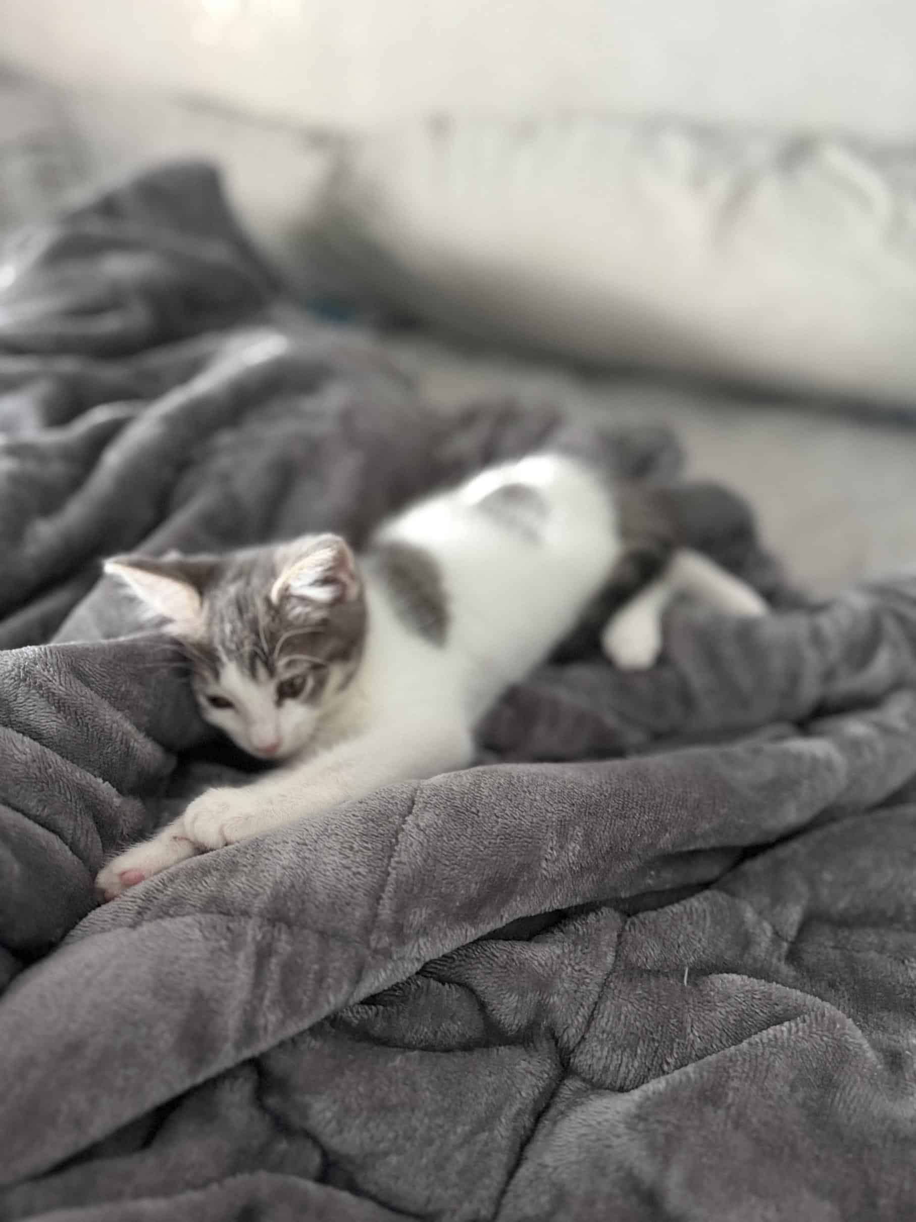 Aura - Repos Mérité